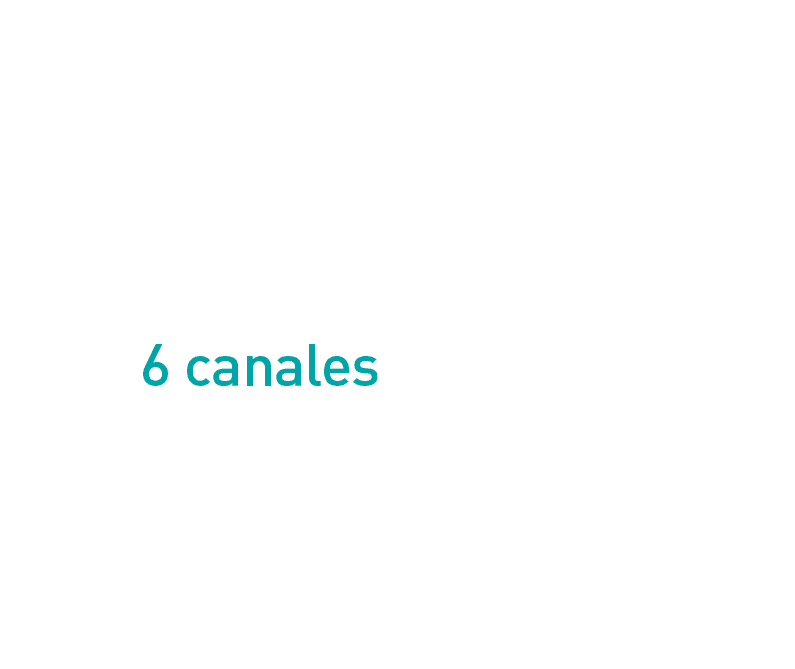 text-canales