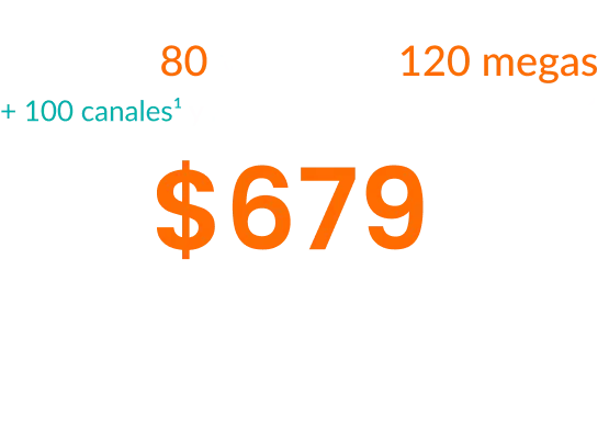text bannernetflix
